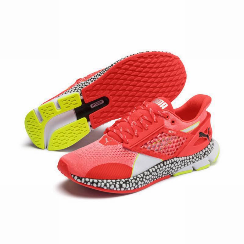 puma shos tunisie,puma shos 9000 price,chaussures marque puma